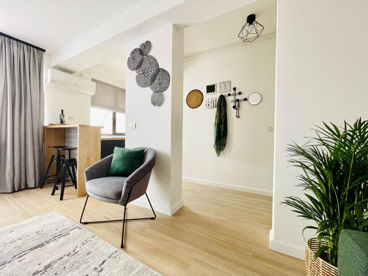 City Center View Studio Apartment 1 蒂米什瓦拉 外观 照片