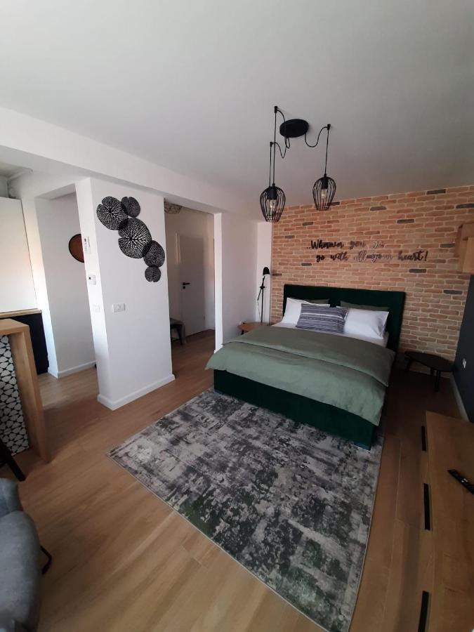 City Center View Studio Apartment 1 蒂米什瓦拉 外观 照片