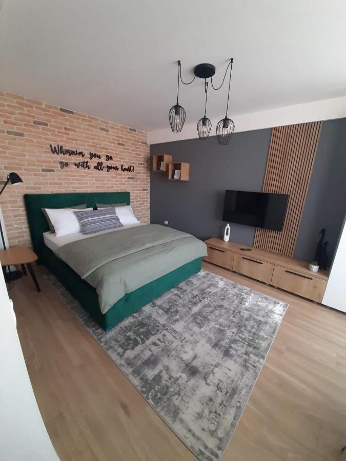City Center View Studio Apartment 1 蒂米什瓦拉 外观 照片
