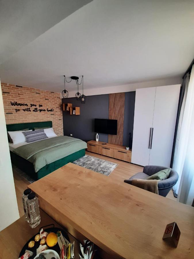 City Center View Studio Apartment 1 蒂米什瓦拉 外观 照片