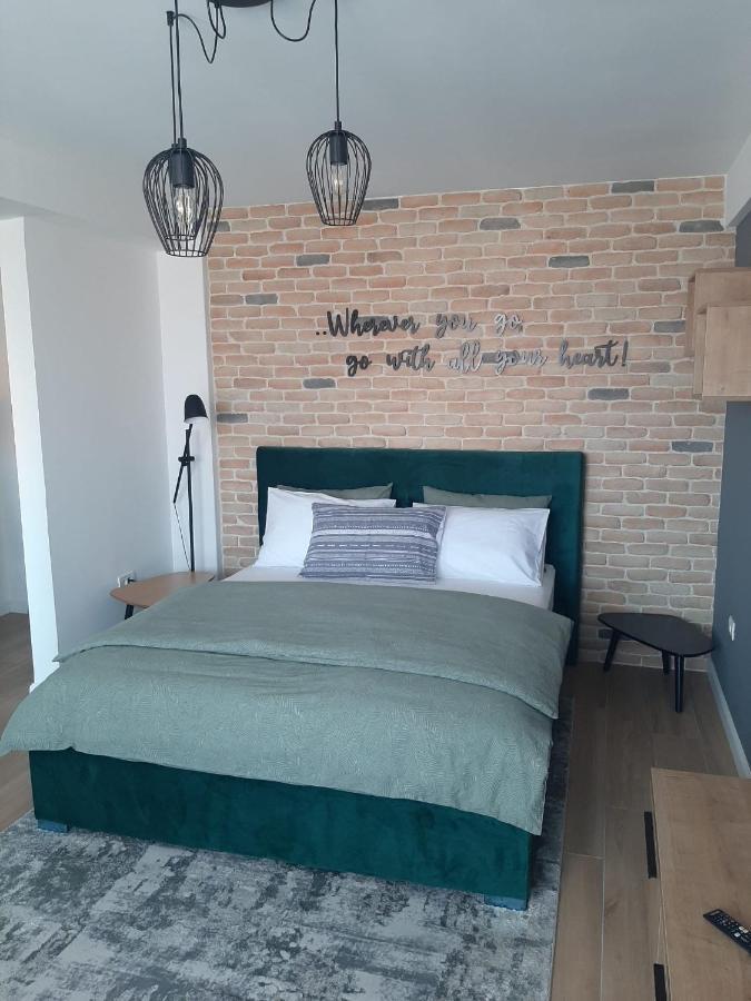 City Center View Studio Apartment 1 蒂米什瓦拉 外观 照片