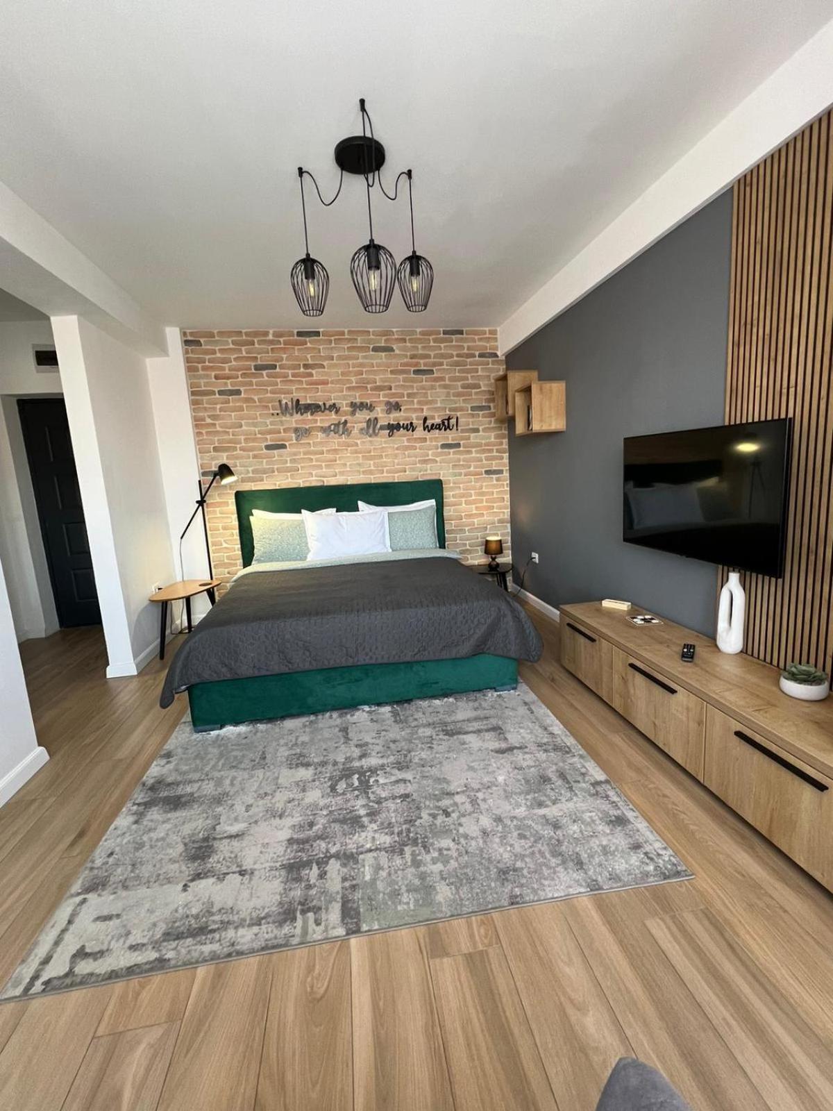 City Center View Studio Apartment 1 蒂米什瓦拉 外观 照片